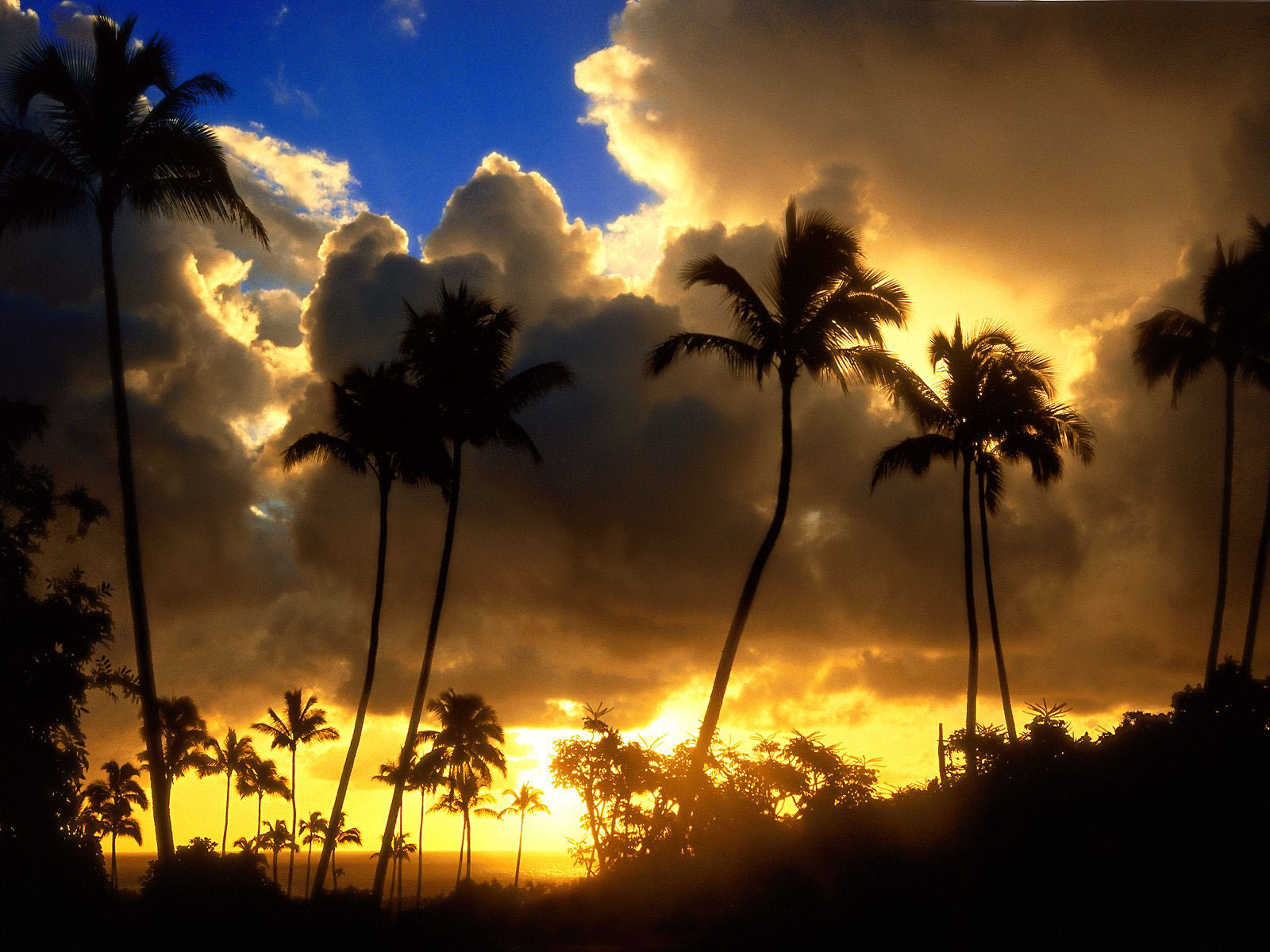 Earth-Sunset-4670