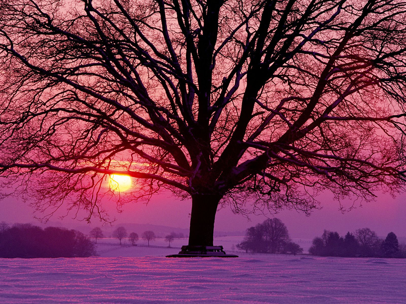 Earth-Sunset-32808