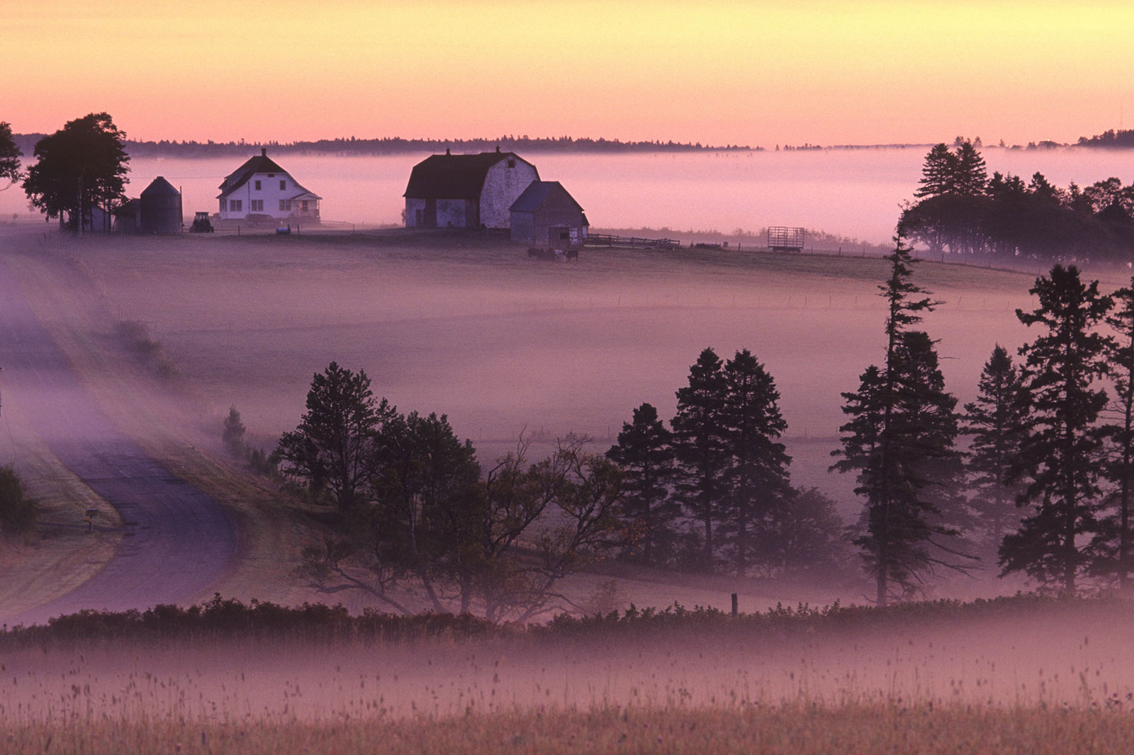 Landscape36