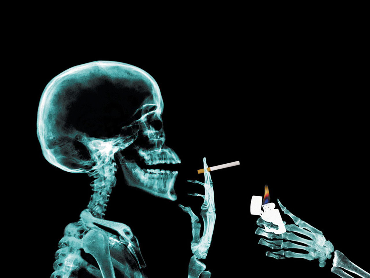 HorrorWall16