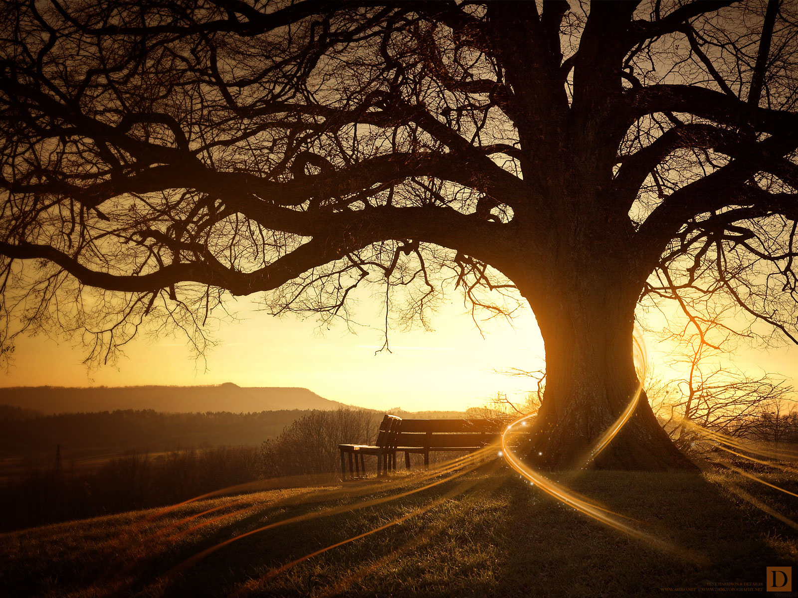 Earth-Sunset-6593