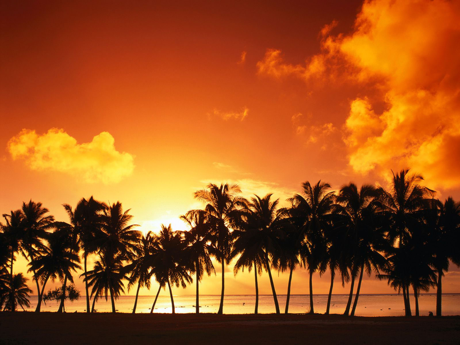 Earth-Sunset-8956