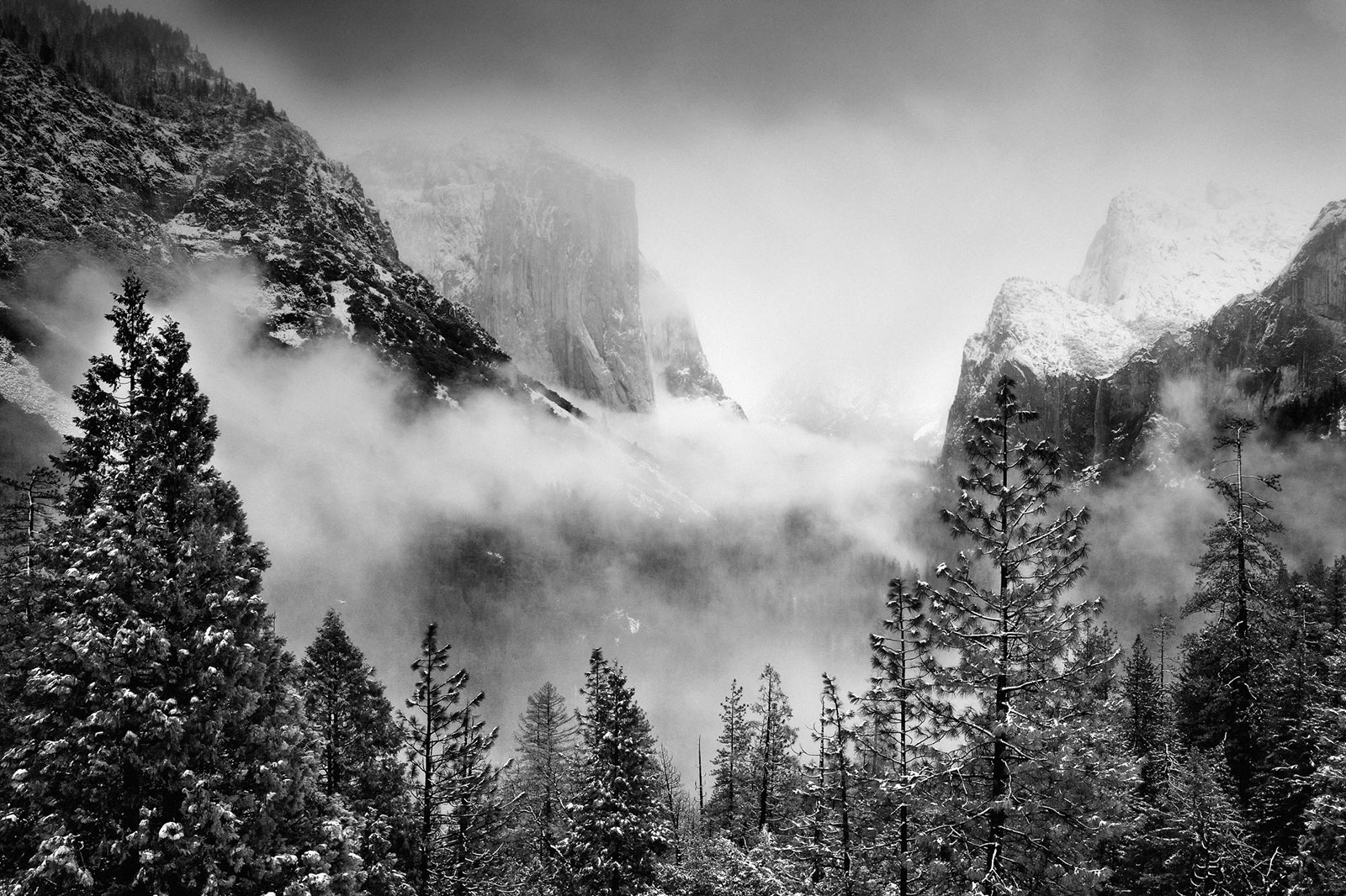 Landscape51