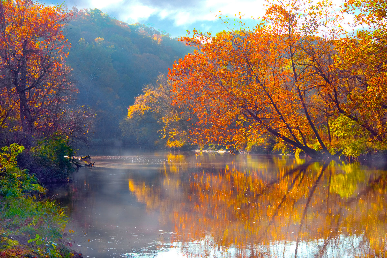 Landscape42