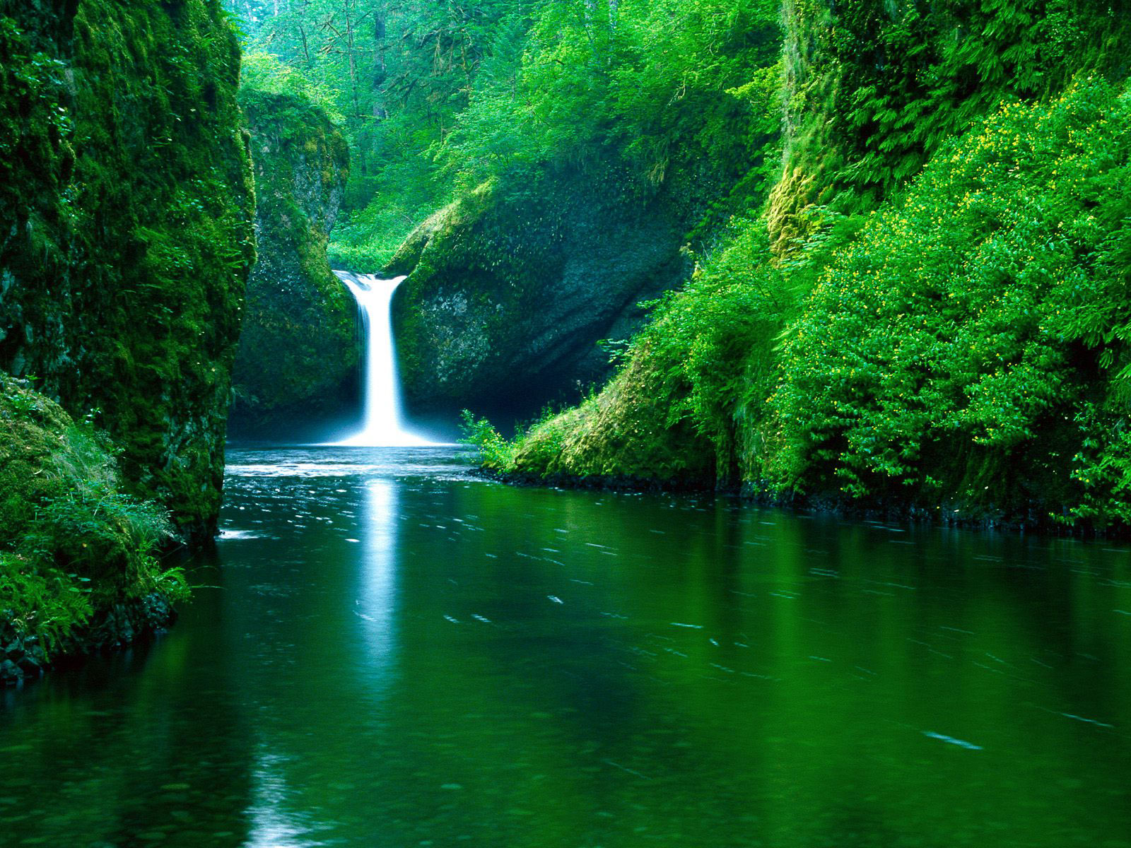 Earth-Water-37864