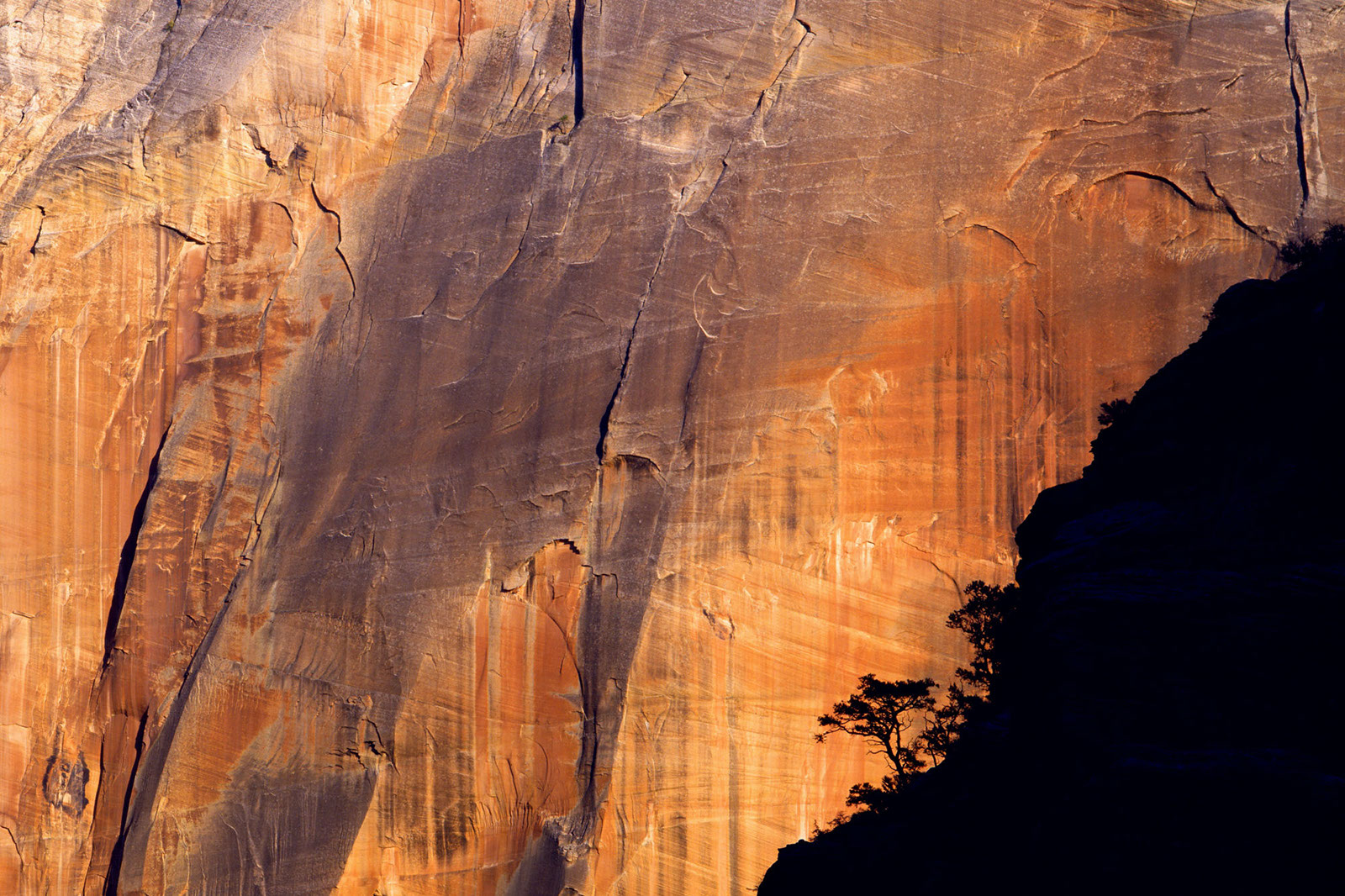 Landscape34