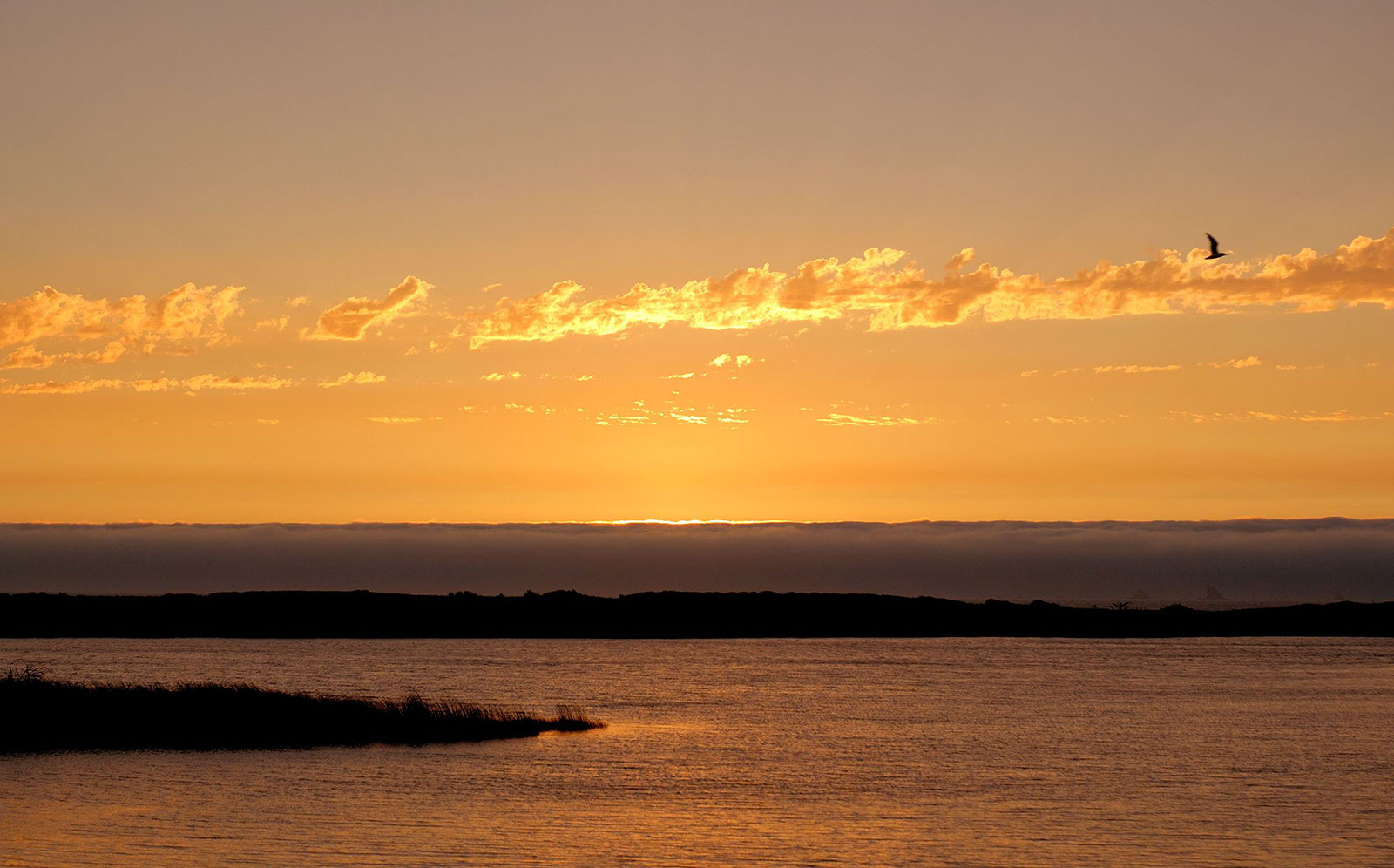 Earth-Sunset-29484