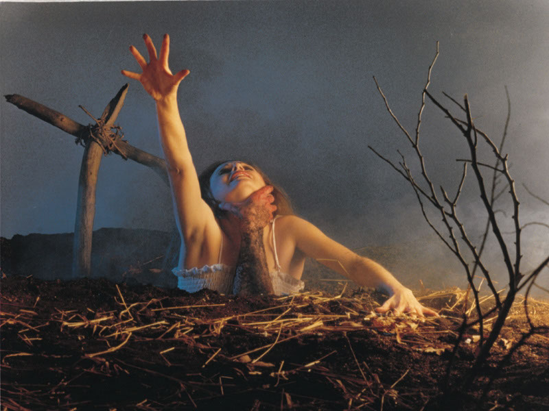 HorrorWall24