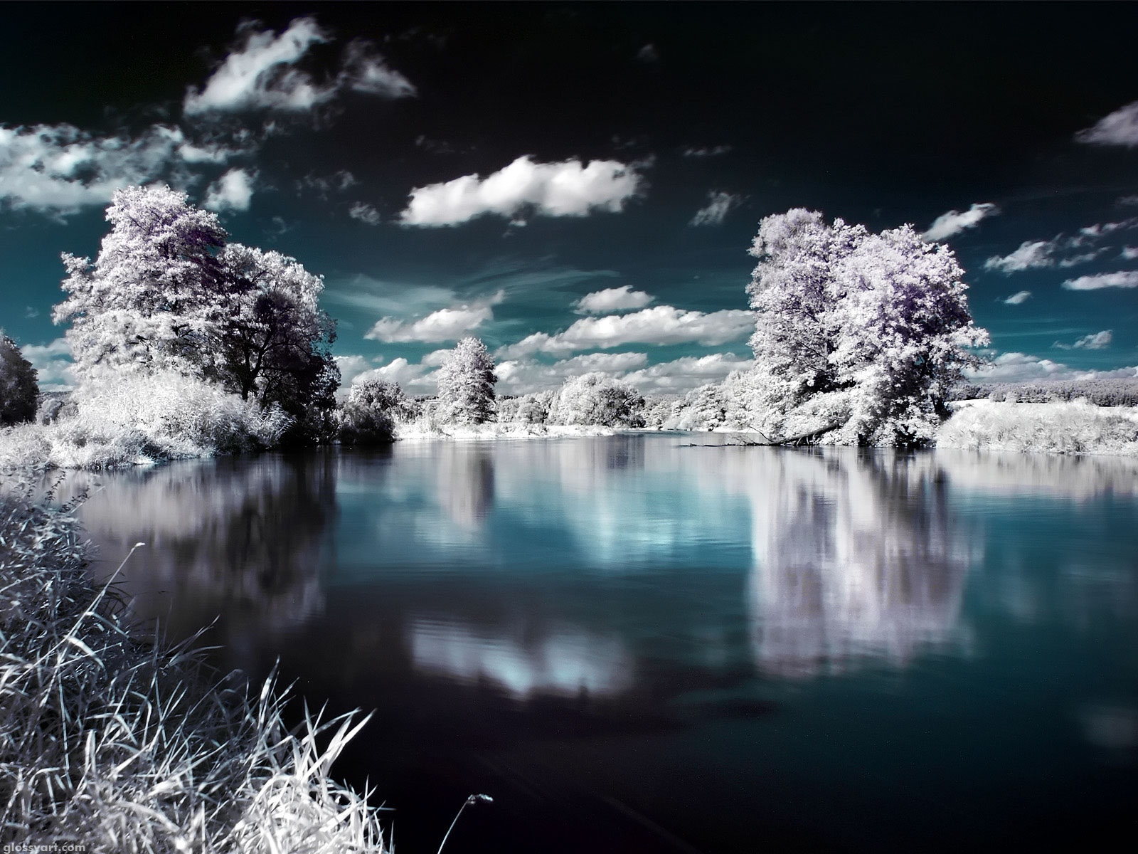 Earth-Water-31862
