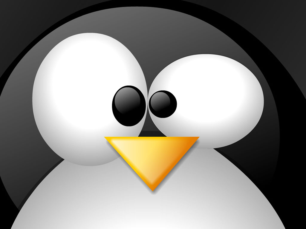 LinuxWallpaper6