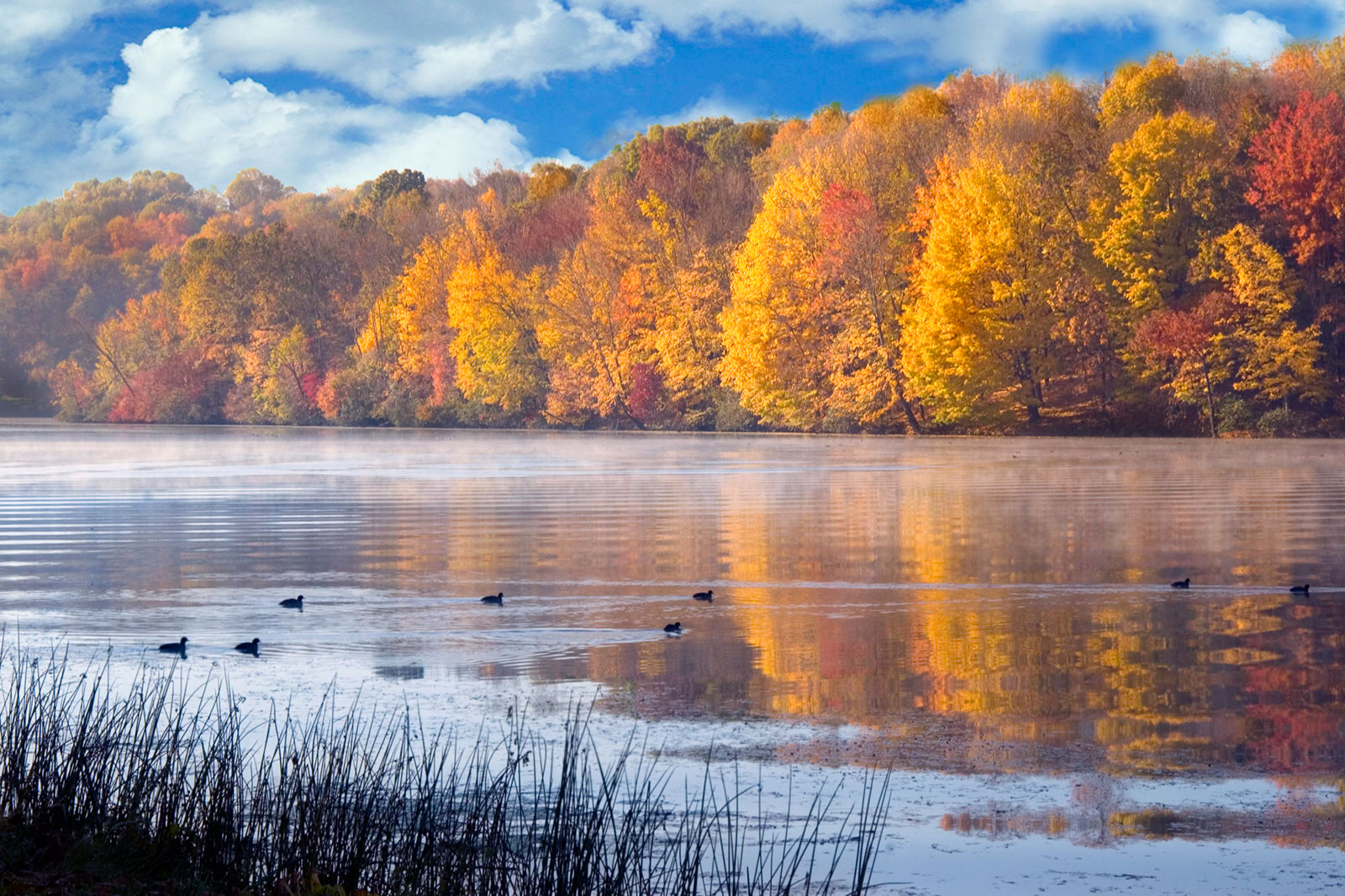 Landscape71