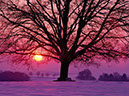 Earth-Sunset-32808