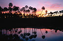 Landscape54