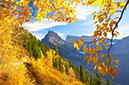 Landscape64