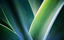 Varios_24