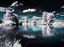 Earth-Water-31862