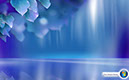 VistaWallpaper_79